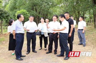 王瑰曙到邵阳市调研并与青年科技人才座谈