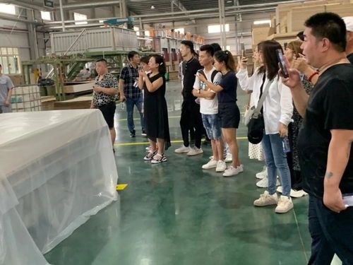 天津地区家具厂合作商走进兔宝宝公司
