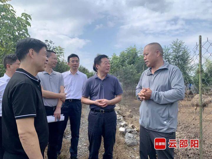 何寄华在邵阳调研时强调:抓好“规划、基础、产业、人才”建设,助推乡村振兴