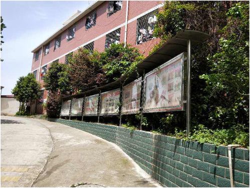 邵阳市护理学校2018招生简介