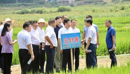 中国“两院”院士专家来邵指导农业种业发展工作