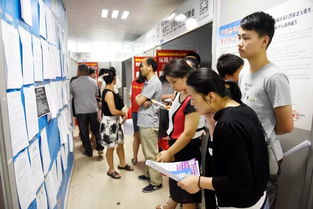 邵阳市青年人才专场招聘会助力脱贫攻坚,为城乡青年插上梦的翅膀