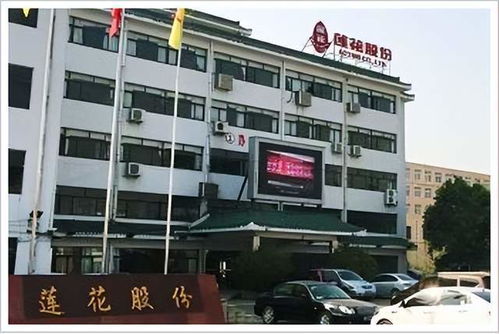 巨头倒下的真相 谁杀死了 味精大王