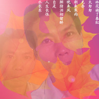 【注册微店步骤公司|注册微店步骤