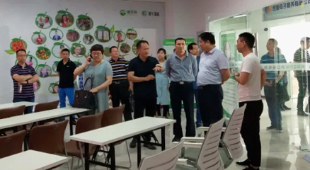 邵阳县领导率团考察我县电商工作