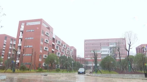 最新 邵阳市新一中什么时候投入使用 领导发话了