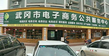 邵阳武冈土特产搭上电商 快车