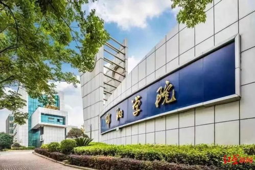 揭秘海外 水博士 疫情期间甚至不出国就能拿学历