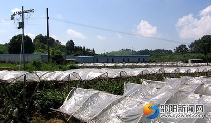 邵阳靠什么致富创业