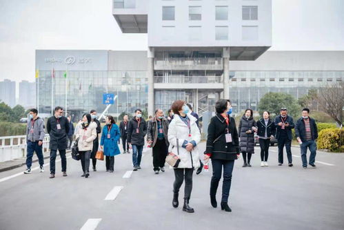 邵阳人才 湘中明珠的潜力与未来