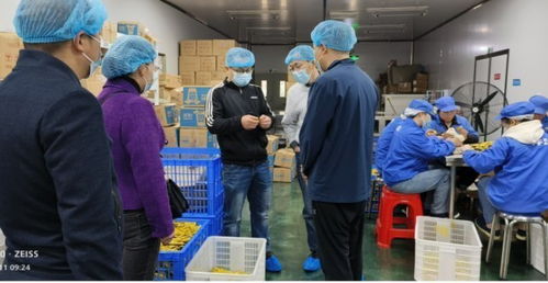 湖南师大教授赴邵阳企业调研 深化校企合作精准对接人才需求