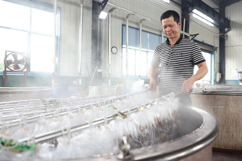 中国假发的非洲之旅 邵阳人才的匠心远航