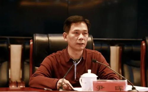 清晨再亮剑 邵阳33人被查，彰显反腐斗争持久战决心